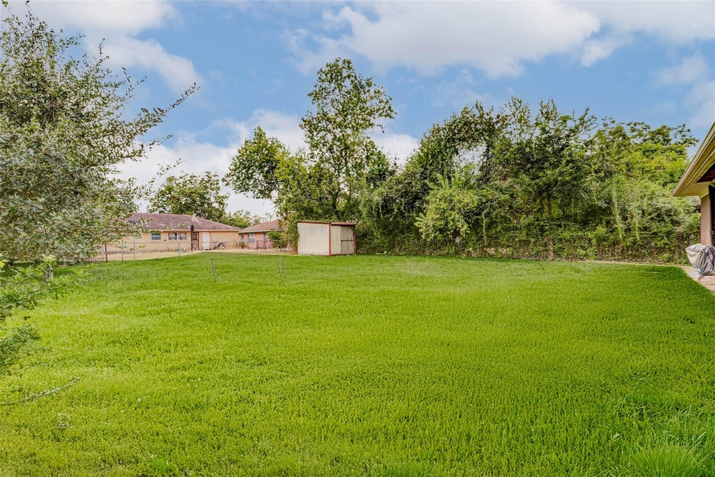 230 Bizerte Street - Photo 33