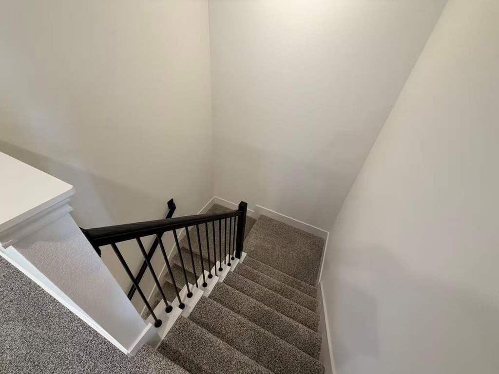 3539 Adelie Lane - Photo 9