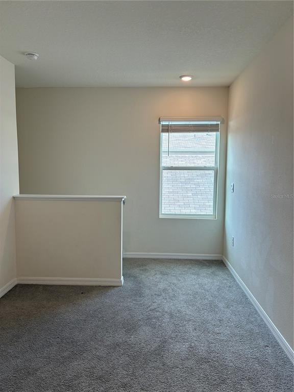 2755 Common Fig Run - Photo 23