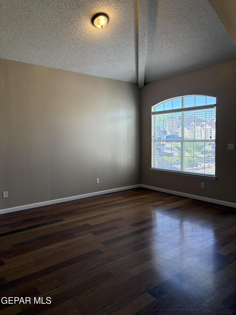 12421 Paseo De Arco Court - Photo 11
