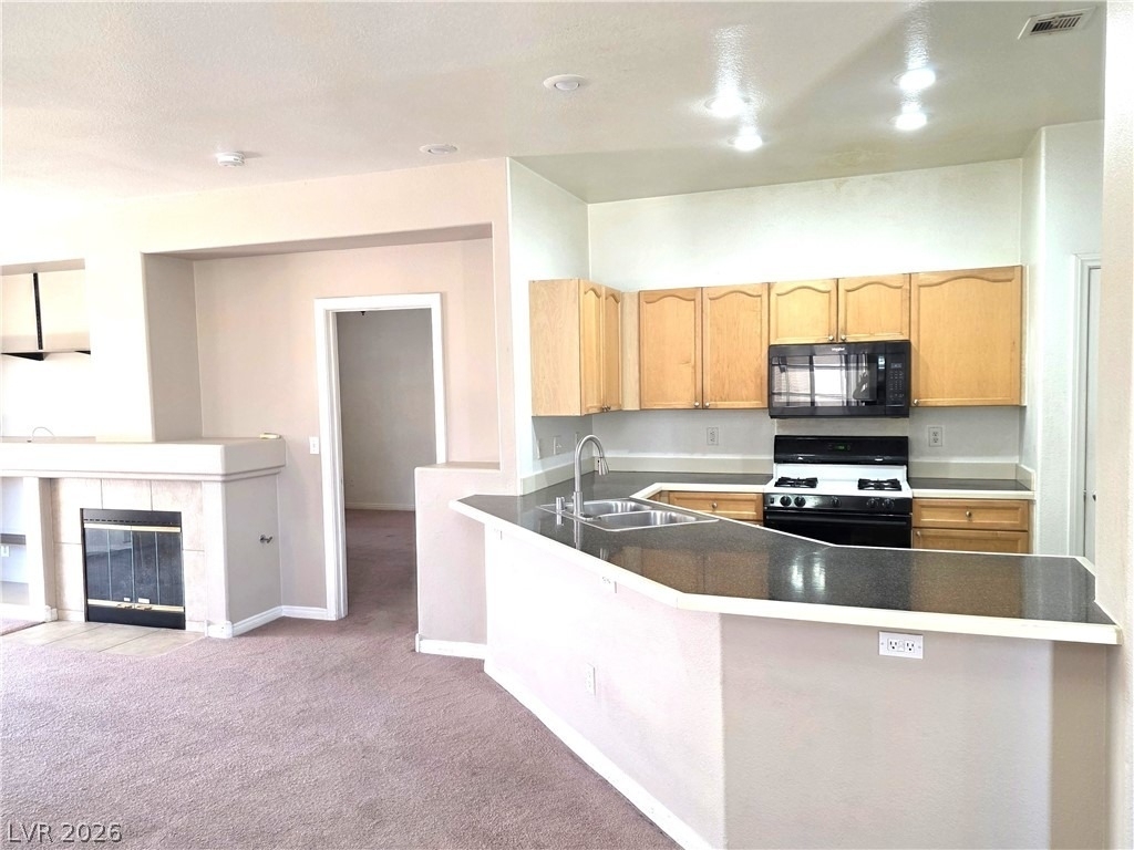 9105 Sparkling Star Street - Photo 9
