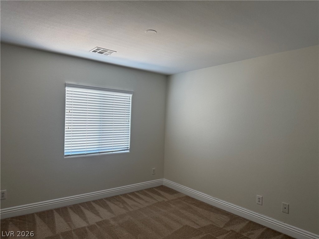 8720 Blue Wolf Street - Photo 8