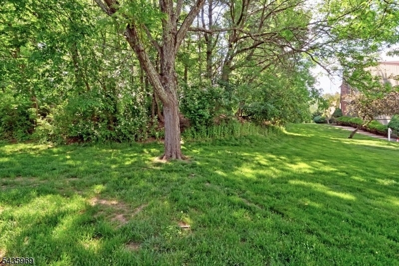 38 Park St 2-d - Photo 16
