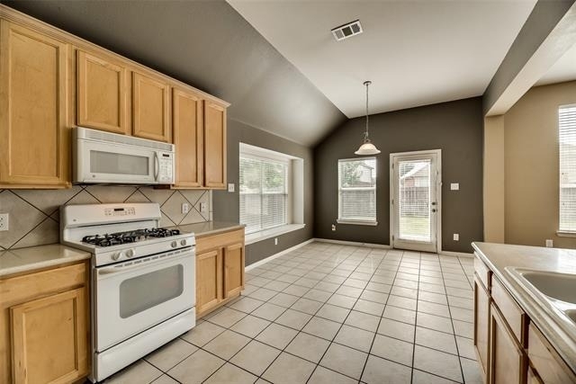 3209 Bloomfield Trail - Photo 10