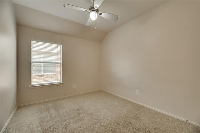 3209 Bloomfield Trail - Photo 23