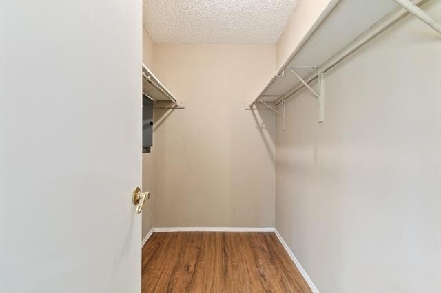 5300 Keller Springs Road - Photo 17