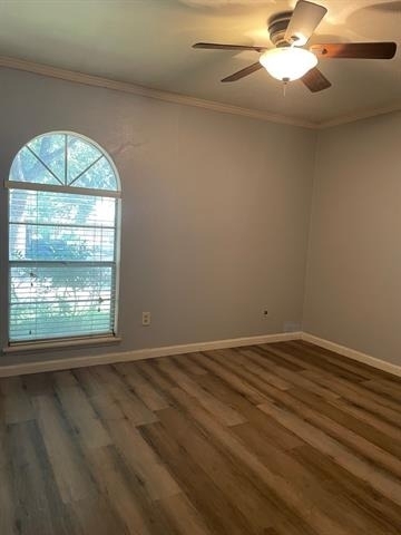 1425 Natchez Drive - Photo 4