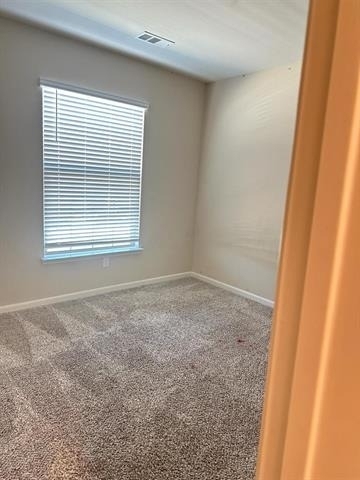 1707 Cotton Blossom Lane - Photo 22