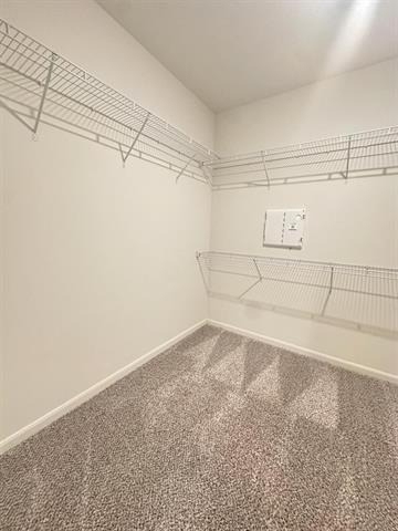 1707 Cotton Blossom Lane - Photo 20