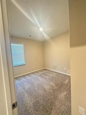 1707 Cotton Blossom Lane - Photo 24