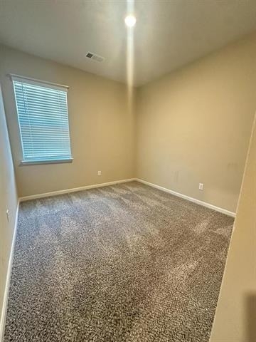 1707 Cotton Blossom Lane - Photo 15