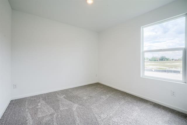 201 Cattail Lane - Photo 16