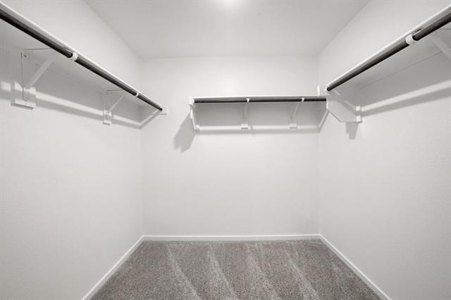201 Cattail Lane - Photo 14