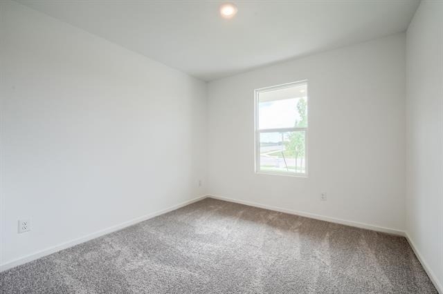 201 Cattail Lane - Photo 15