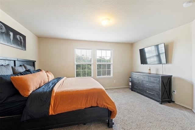 4127 Passage Way - Photo 14