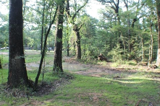148 Golden Oaks Drive - Photo 12