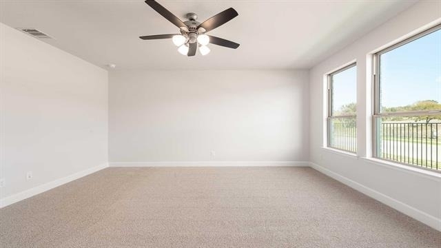 533 Banks Street - Photo 14