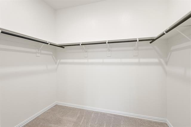 206 Goosewood Drive - Photo 9