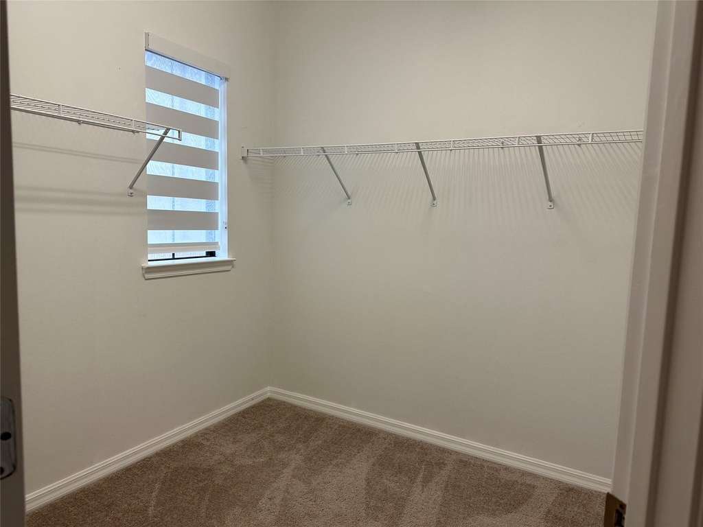 8191 Cinch Way - Photo 12