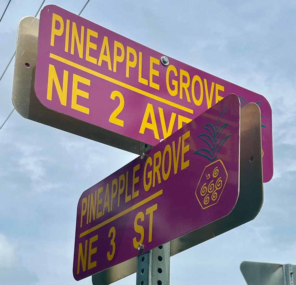 250 Ne 3rd Avenue - Photo 15