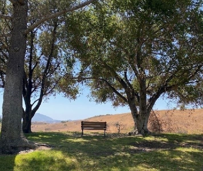 771 Via Colinas - Photo 19