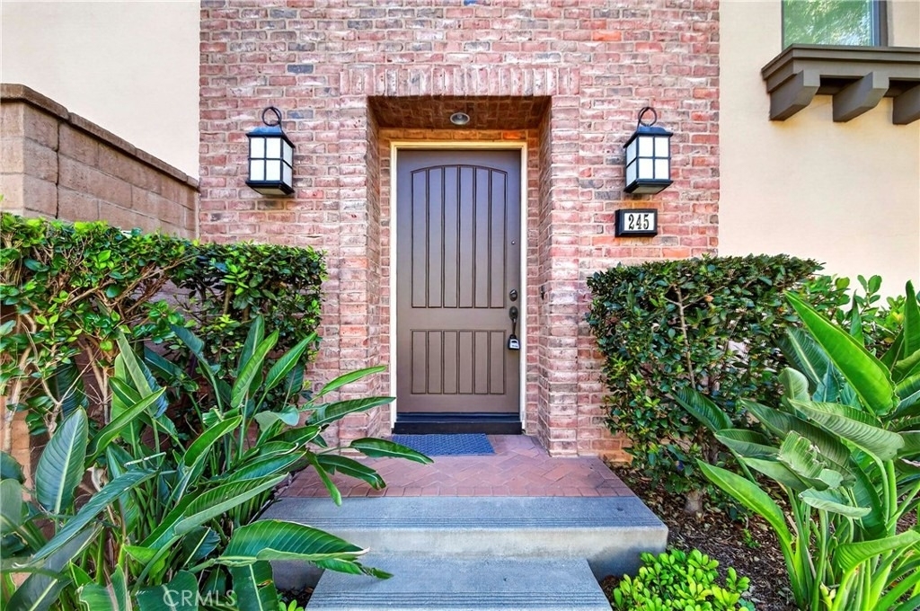 245 Rodeo - Photo 1
