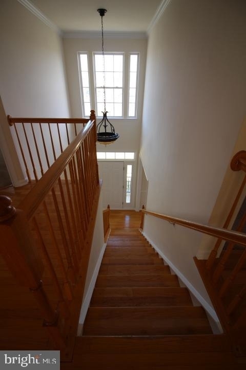 14201 Reidhall Place - Photo 39