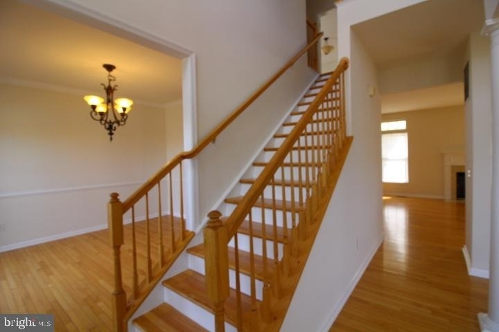 14201 Reidhall Place - Photo 14