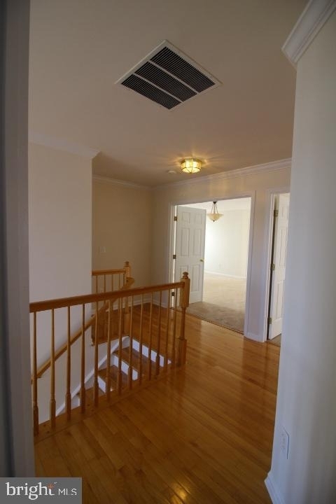 14201 Reidhall Place - Photo 36