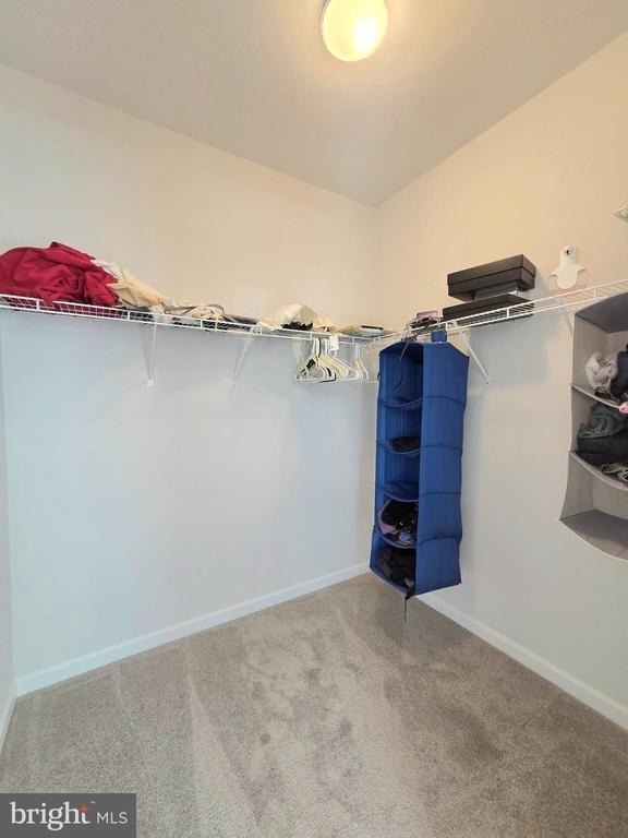 13146 Dowdens Station Way - Photo 23