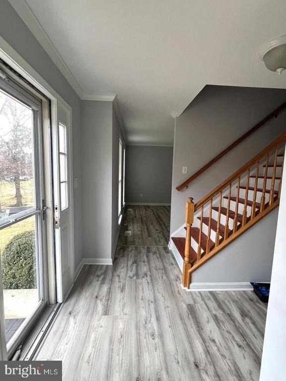 15116 Serbian Lane - Photo 4