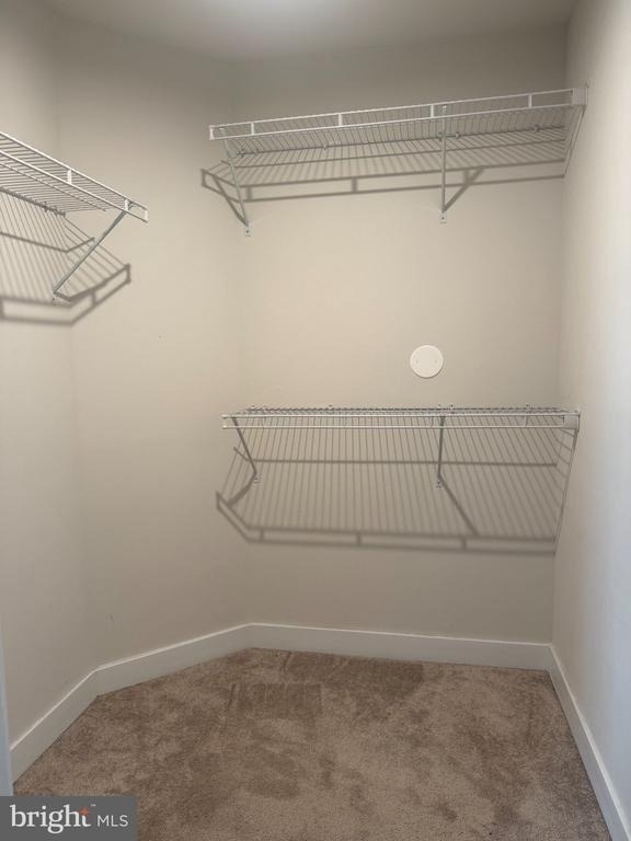 10010 Ruffian Way - Photo 26