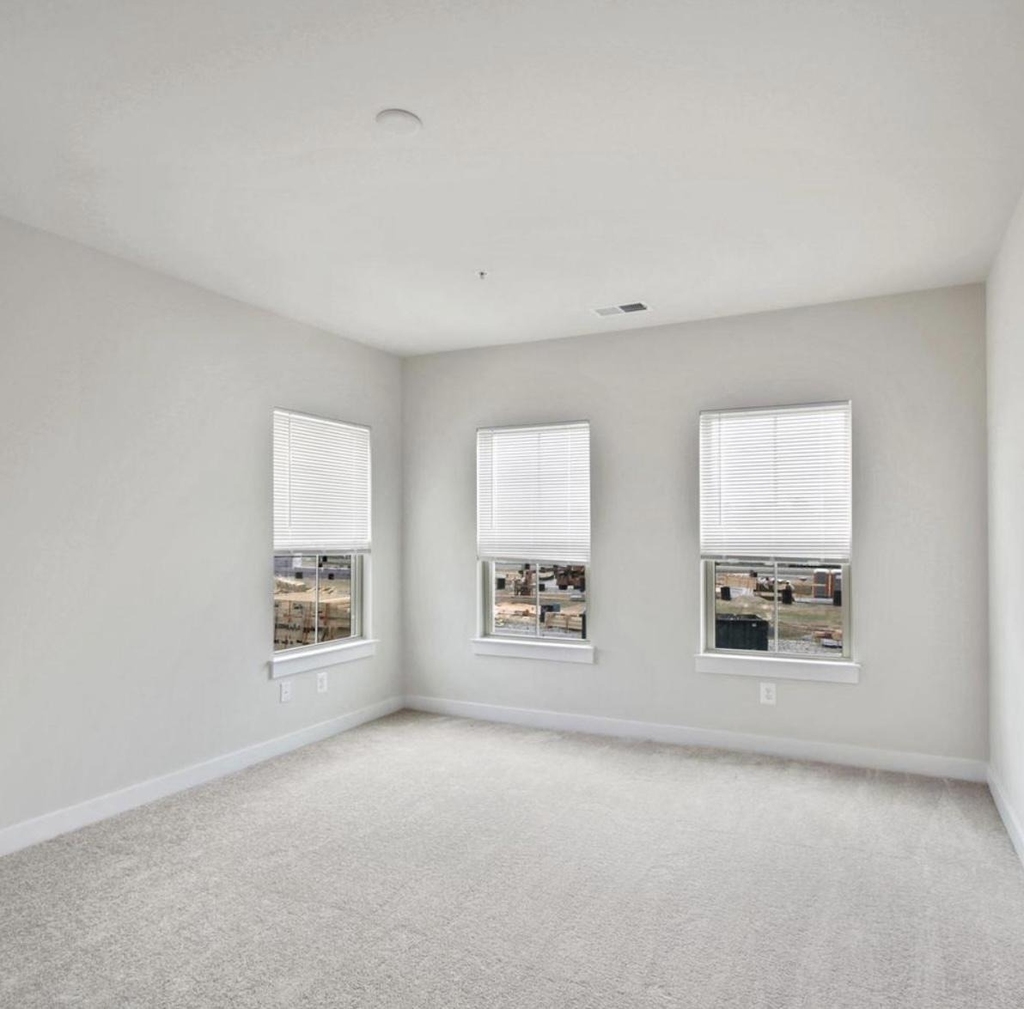 10010 Ruffian Way - Photo 21