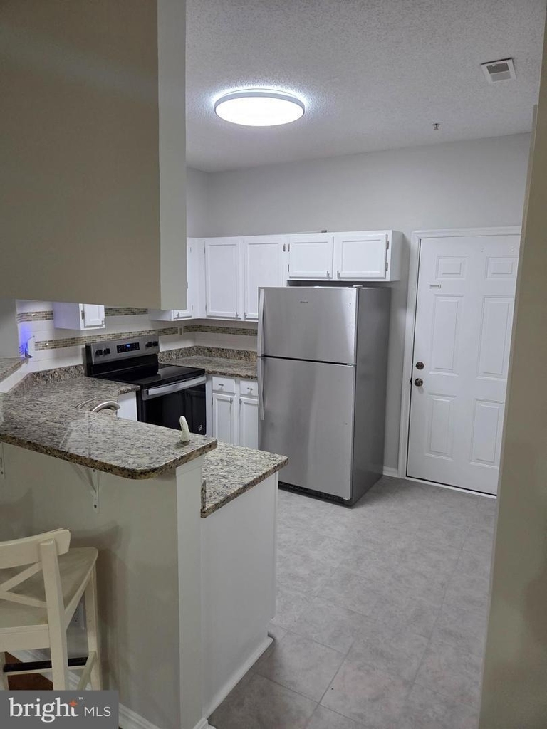 1303 Sandwort Court - Photo 7