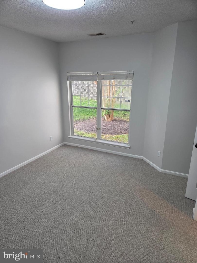 1303 Sandwort Court - Photo 10