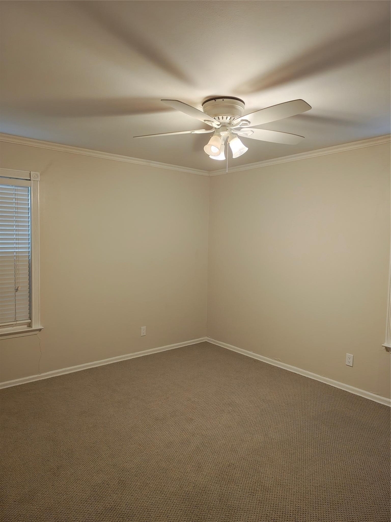 3207 Locke Ln - Photo 13