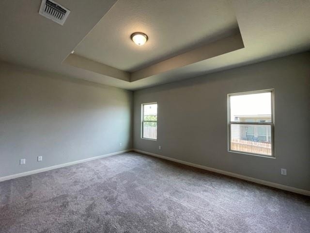 3629 Blue Cloud Dr - Photo 37