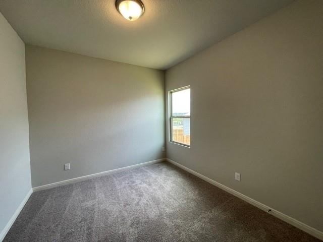 3629 Blue Cloud Dr - Photo 14