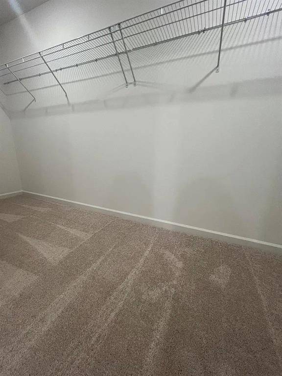 705 Evergreen Road - Photo 19