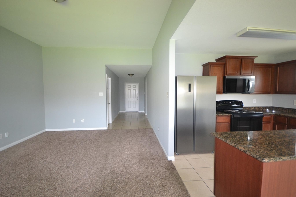 6958 Chessgate Falls Lane - Photo 7