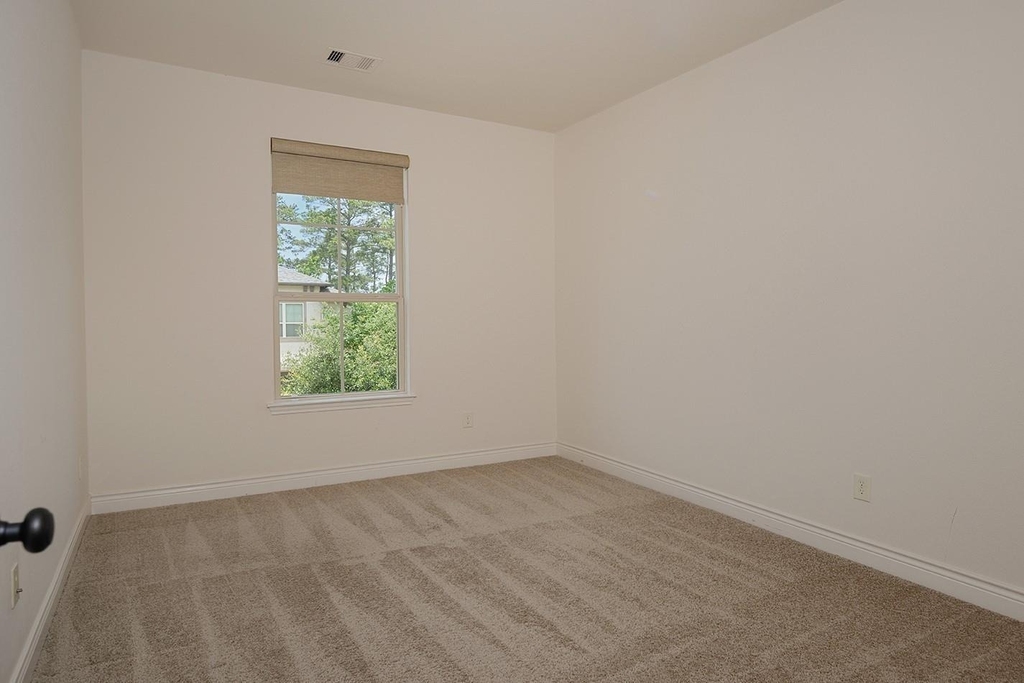 34 Daffodil Meadow Place - Photo 21