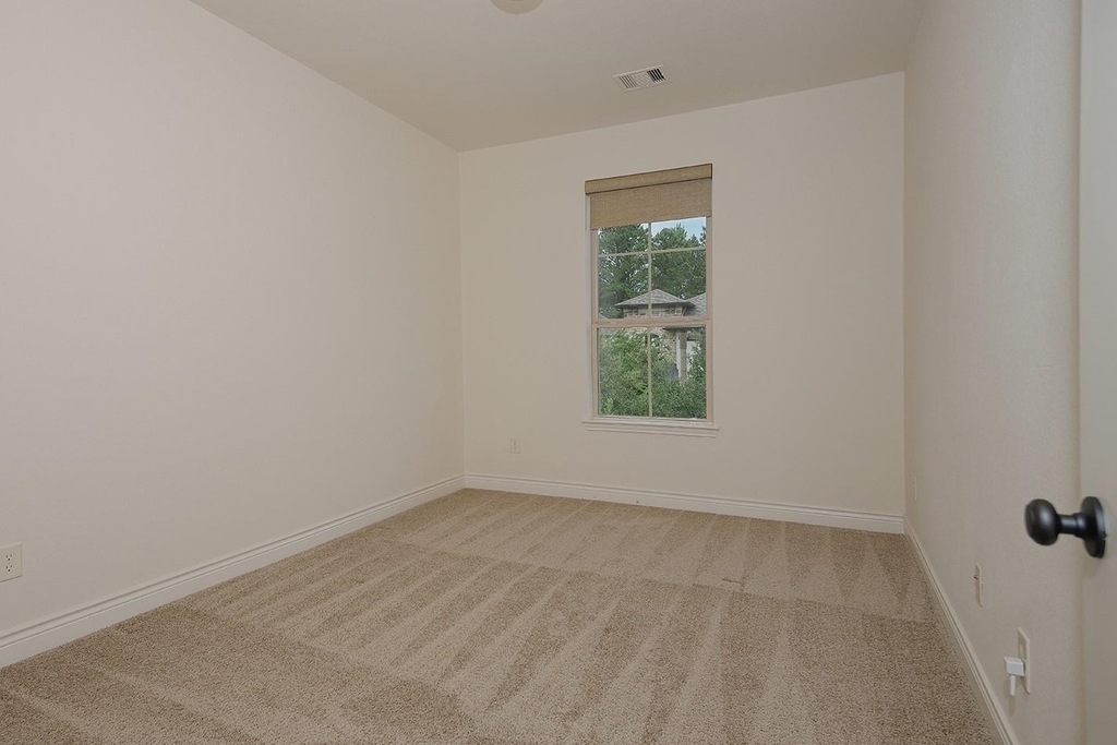 34 Daffodil Meadow Place - Photo 22