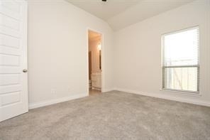 4525 Silver Pine Ct - Photo 12