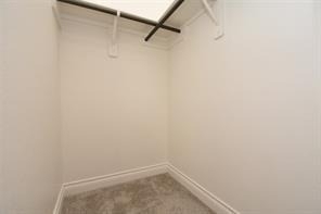 4525 Silver Pine Ct - Photo 10