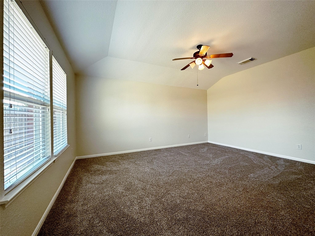 10210 Canyon Rose Lane - Photo 6