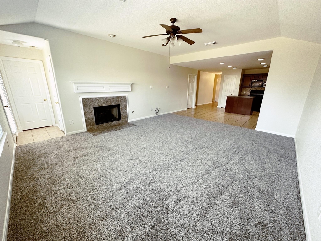 10210 Canyon Rose Lane - Photo 5