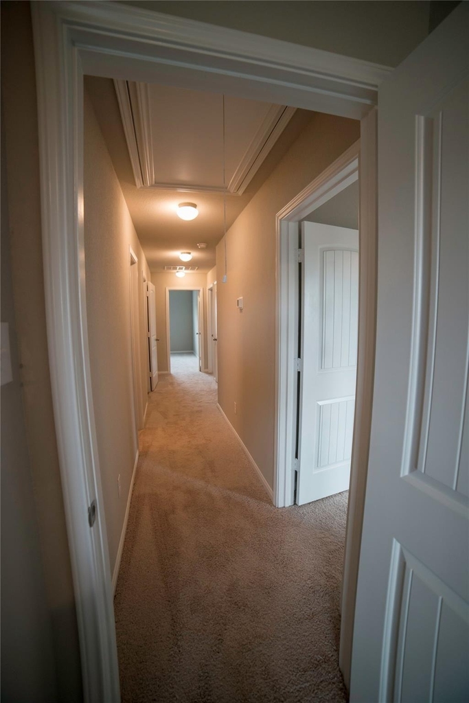 4455 Eveslage Lane - Photo 13