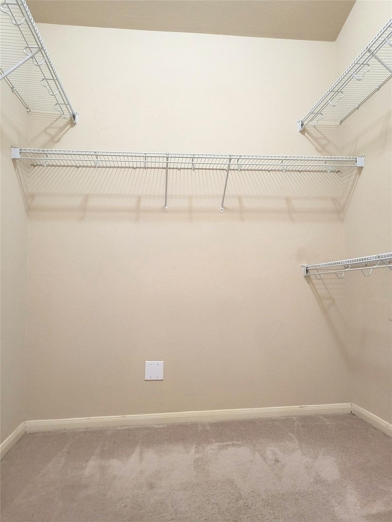 6042 Starbrook Creek Drive - Photo 11