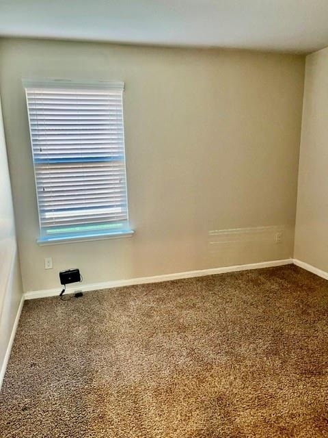 29223 Dunns Creek Ct - Photo 3