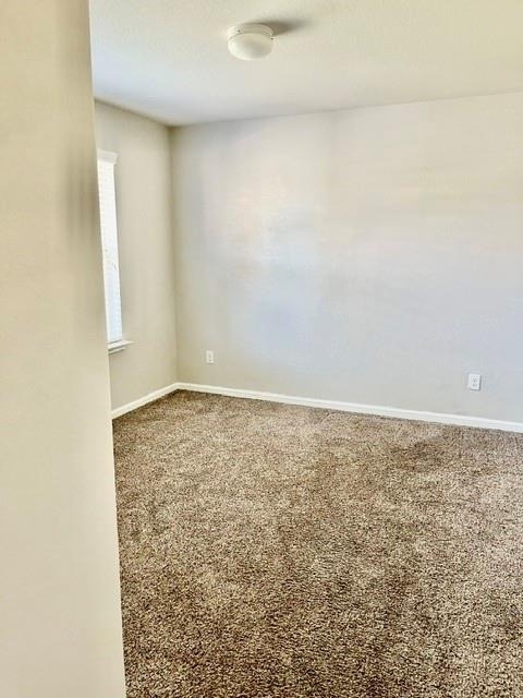 29223 Dunns Creek Ct - Photo 5